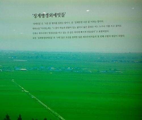언제나 그자리에 꿋꿋이 저푸른 소나무처럼