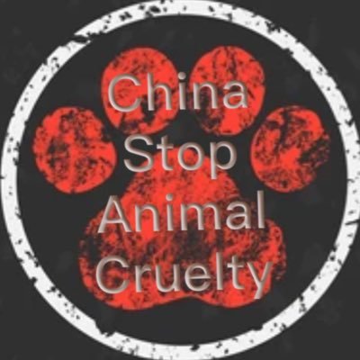 Exposing animal abuse in China and calling for attention. Work together to improve animal welfare.