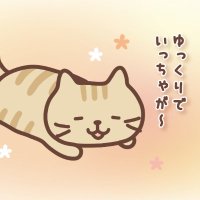 siranami (@stmom3wf3nufdlf) Twitter profile photo