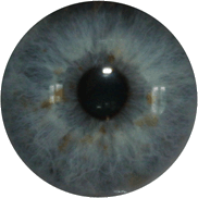 imissmykidscouk's profile picture. Maybe by getting all of this out of my head and into writing I will be able to justify my actions to myself although I doubt I'll ever justify it to my sons.