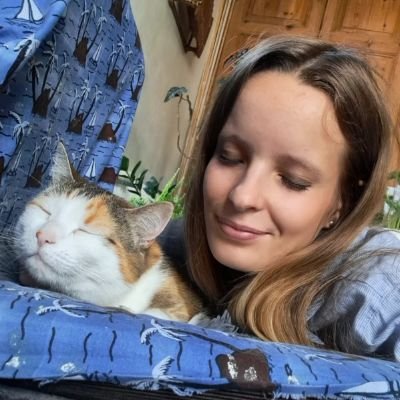 basically my cat's and taylor swift's fan account