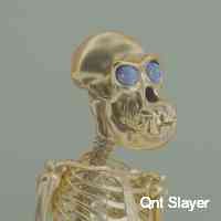 Qnt Slayer (@layerqnt) 's Twitter Profile