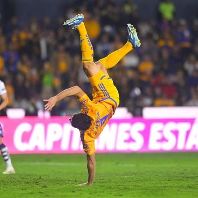 Tigre de corazón 🇺🇦
#Tigres 🏆🏆 🏆 🏆🏆🏆🏆+🏆
Campeón (otra vez).

se suponía que después de la pandemia seríamos mejores humanos 🤔

#TwitterEsPanista 👎🏻