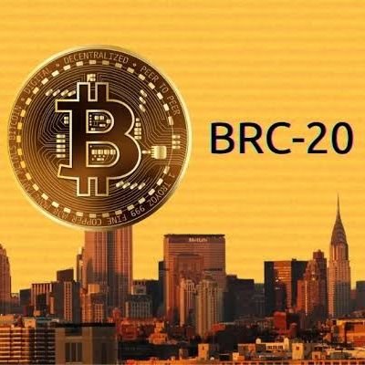 cryptogun009's profile picture. Crypto enthusiast