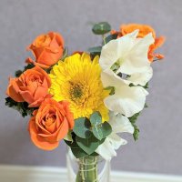 アーバン (@1wrfoy8p9cmqcyo) 's Twitter Profile Photo