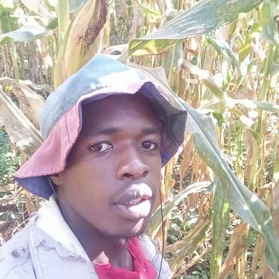 Dr_OkongoOuma12's profile picture. B. Pharm