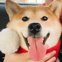 sooolucky (@sooolucky438) 's Twitter Profile