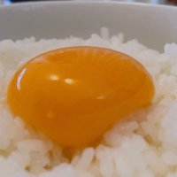 kenjo (@mitsukikun0828) 's Twitter Profile