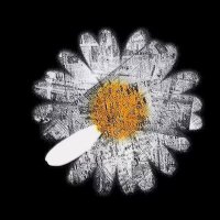 І L𝓞ѴЕ ΣѴЕГЧОПЕ 𝓞Ғ МΞ (@tiikta) 's Twitter Profile Photo