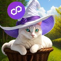 PolyKitten (@polykittenltd) 's Twitter Profile
