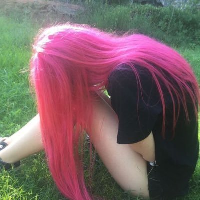 dinopugget's profile picture. gw 39