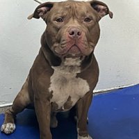 mary love (@marylove265016) 's Twitter Profile