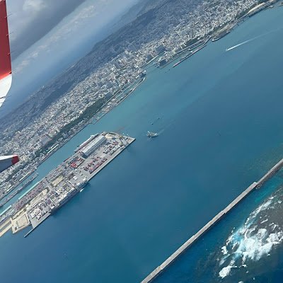 marumarunodesi's profile picture. 