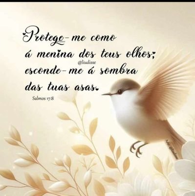 Palmeirense💚💚💚💚💚💚💚 e Petista❤❤❤❤❤❤❤✊🏿✊🏿✊🏿✊🏿