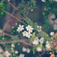 がむ (@ttgfmkst) 's Twitter Profile Photo