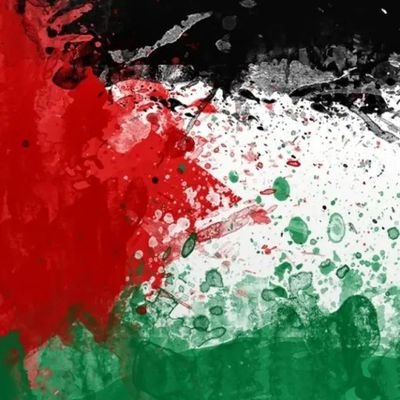 nala_zra's profile picture. 