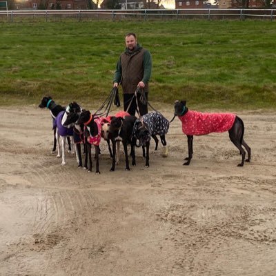 Towcester Greyhound Trainer Based On Track! Kennel Space For 140 Dogs With State Of The Art Facilities. Brand New Luxury Kennels. #retirednotrescued