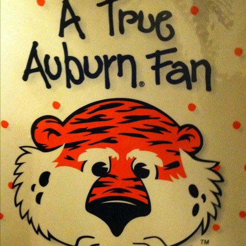 DMSTiger83's profile picture. AUM grad and Auburn fan; War Eagle!