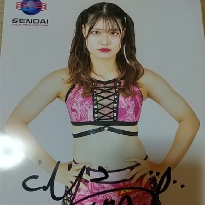 プロレス全般、相棒 📺、仙女、ディアナ、スターダム、DDT、 デワプロ、新根室プロレス 、新潟プロレス、
鉄道  、男はつらいよ、アランマーレ山形🏐