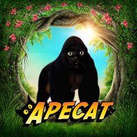 ApecaT (@apecat_sol) 's Twitter Profile Photo ApecaT (@apecat_sol) 's Twitter Profile Photo