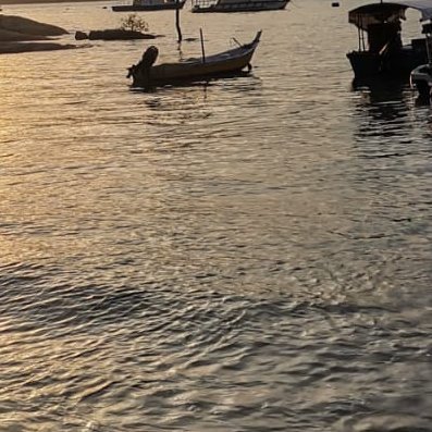 Feitx_'s profile picture. 