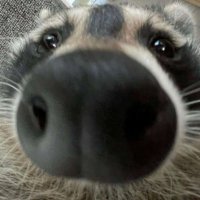 Prot3ct (@prot3ct_ow) 's Twitter Profile Photo Prot3ct (@prot3ct_ow) 's Twitter Profile Photo