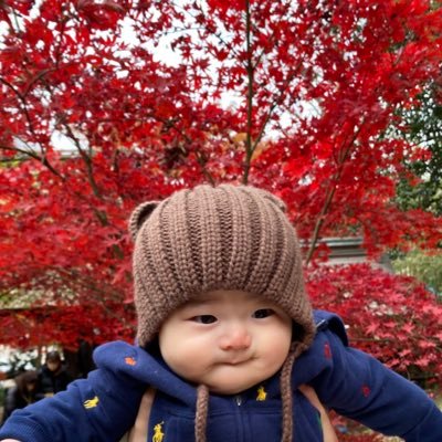 aiueo0906kouki's profile picture. 