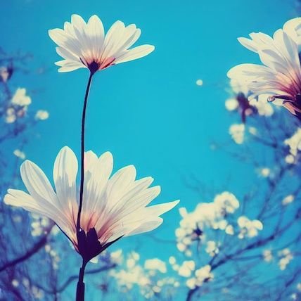 Das982386Das's profile picture. 