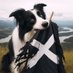 herder1013 (@herder1013) Twitter profile photo herder1013 (@herder1013) Twitter profile photo