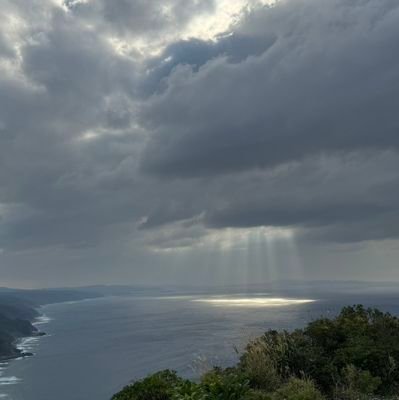 自由に 楽しく おもしろく 旅行好き 南の島 沖縄 おいしいもの 美しいもの 化粧品 ダジャレ マンガ やきう  ドラクエ お鮨 コーチング 英語でもどうぞ