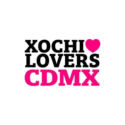 Somos una organización ciudadana de voluntarios que apoyaremos a Xochitl. MetroXMetro activaremos a la CDMX.  CUENTA OFICIAL