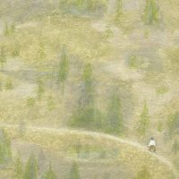林边驻马 (@freewheelinma) 's Twitter Profile Photo