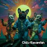 chiilizsavanna's profile picture. Nft collector art lover and all about community