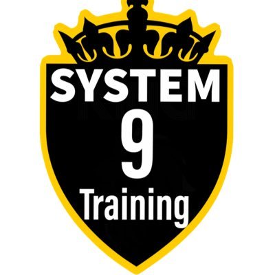 DynamicMo's profile picture. The System is a kinesthetic training methodology that introduces biorhythmic principles into the baseball swing.