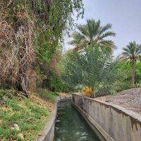 !!S!! (@ahmed90932453) 's Twitter Profile Photo