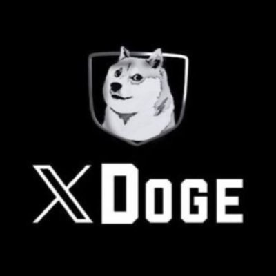 Hold  memecoin 🥇XDOGE $XDOGE #XDOGE to the moon💫🚀