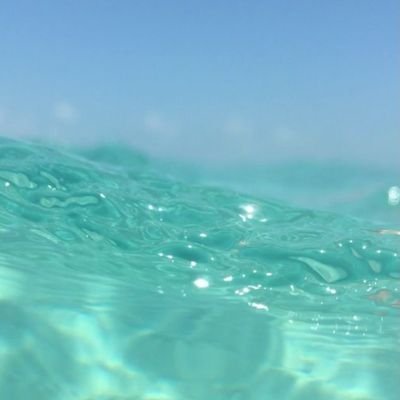 redval59's profile picture. 