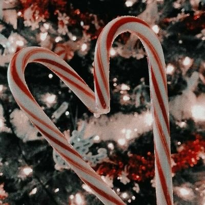 AquariusOnFire's profile picture. ♒ Goddess. Waterbearer guided by flames and grounded by earth. Lover of yummy vegan food, poetry, and nature. Long may she reign.