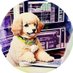 コトノミ (@kotonomi_fx) Twitter profile photo コトノミ (@kotonomi_fx) Twitter profile photo