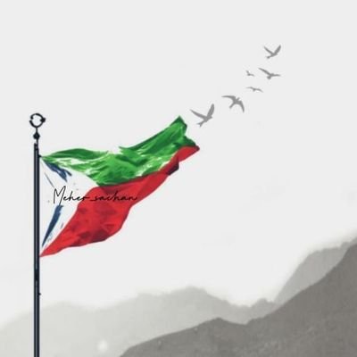 BalochSaib07 Profile Picture