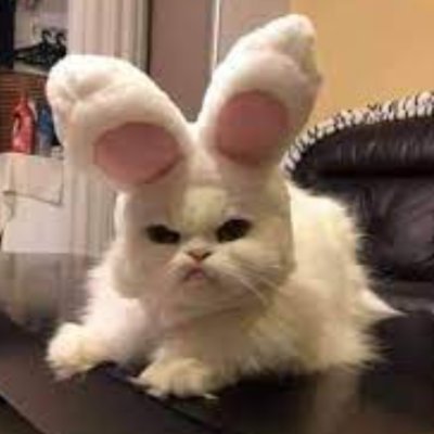 aedesnft's profile picture. I LOVE SOLANA