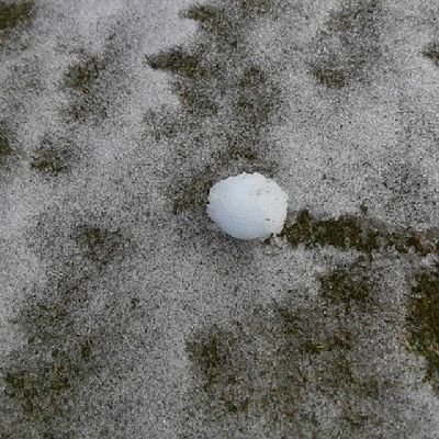 jimmydangymn's profile picture. 