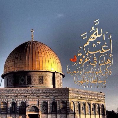 fadhilanajeh's profile picture. 