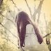 Shaysis (@shaysis285335) Twitter profile photo Shaysis (@shaysis285335) Twitter profile photo