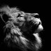 A black man's perspective (@legacymindset13) Twitter profile photo A black man's perspective (@legacymindset13) Twitter profile photo