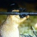 Harry - @HarryMeredith69 - Twitter