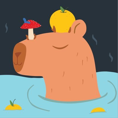 CapybaraRust's profile picture. More details coming soon! ✨