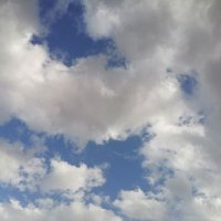بّـــــــشـــــــآيـــــــّــر ✨ (@vb4te48fbay2una) 's Twitter Profile