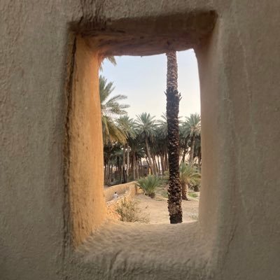 abomrdi's profile picture. لتكن أرواحنا راقية نحترم ذاتنا ونحترم الغير.نطلب بأدب ونشكر بذوق ونعتذر بصدق ونترفع عن التفاهات💞