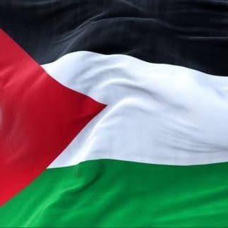 imam_hussain151's profile picture. ✨💚🇮🇳🖤🇮🇷♥️🇵🇸🤍🇮🇶☝️⭐🌙✨